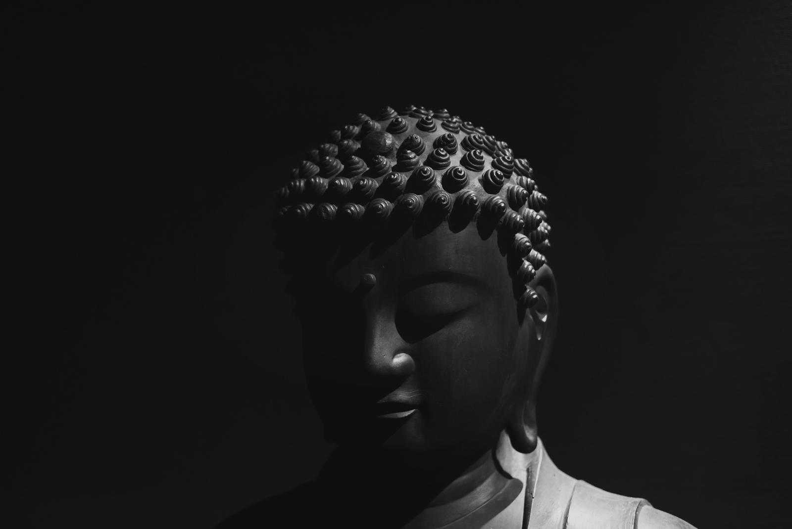 Boeddha in Boeddha-zaal in het Wereldmuseum, Leiden Foto: David
