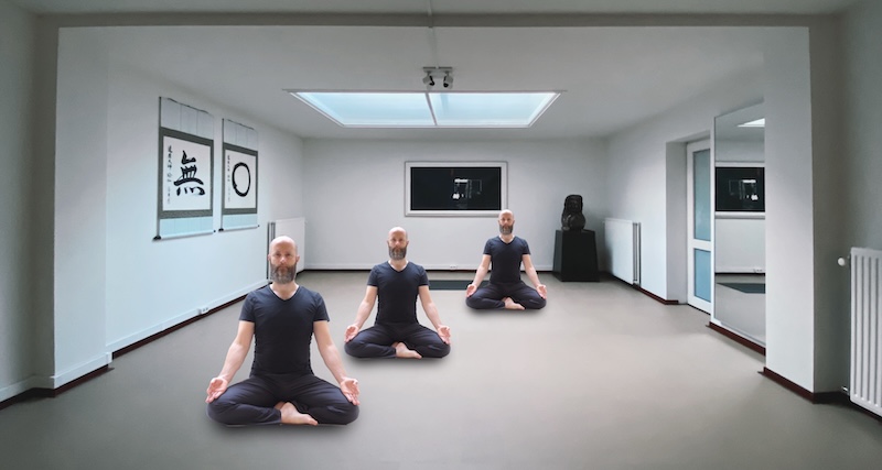 davids in zendo