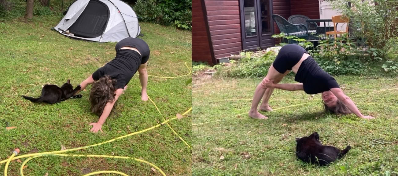 Yogahoudingen in het gras